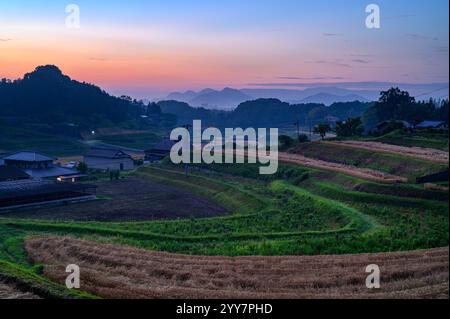 Sonnenuntergang über Reisterrassen in Kagawa, Japan Stockfoto