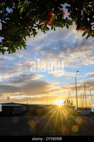 Pohutukawa Bäume umrahmen die untergehende Sonne. Auckland. Vertikales Format. Stockfoto