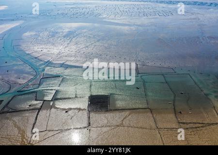 (241220) -- DONGXING, 20. Dezember 2024 (Xinhua) -- ein am 16. Dezember 2024 aufgenommenes Luftdrohnenfoto zeigt eine Marinebanch auf der Gezeitenebene in Dongxing, der südchinesischen Autonomen Region Guangxi Zhuang. Die ethnische Gruppe der Jing ist die einzige maritime ethnische Gruppe in China, wobei die meisten ihrer Mitglieder auf den drei Inseln vor der Küste von Dongxing in Guangxi an Vietnam angrenzenden Grenzregionen leben. Als eine der kleinsten Minderheitengruppen Chinas sind die Jing derzeit weniger als 30.000. In der Vergangenheit verließen sich die Jing-Leute vollständig auf die traditionelle Fischerei, um ihren Lebensunterhalt zu verdienen. Im Gegensatz dazu hat das Volk der Jing nun Oce ergriffen Stockfoto