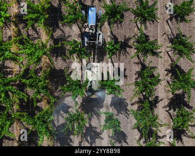 Traktoren zur Begasung von Weinbergen in Argentinien Stockfoto