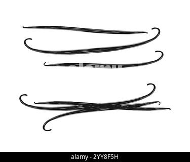 Vanilleschoten. Set mit Vanillestäbchen für Design. Skizzieren Sie stilisierte Zeichnung isoliert auf weißem Hintergrund. Vektorabbildung Stock Vektor