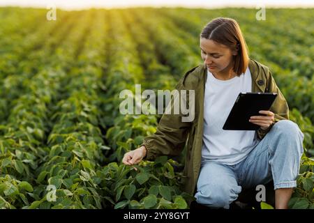 Moderne Agrarwirtschaft. Landwirtin mit digitaler Tablette untersucht und prüft grüne Blätter von Sojabohnenpflanzen auf dem Feld. Agronomist kontrolliert Wachstum und Stockfoto