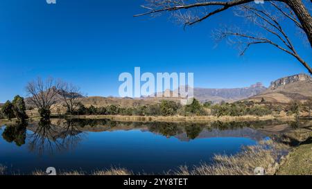 Landschaft des Ampitheaters Mountian, nördlicher Drakensberg, reflektiert in einem Teich im Royal Natal National Park mit blauem Himmel umrahmt von Baumzweigen Stockfoto