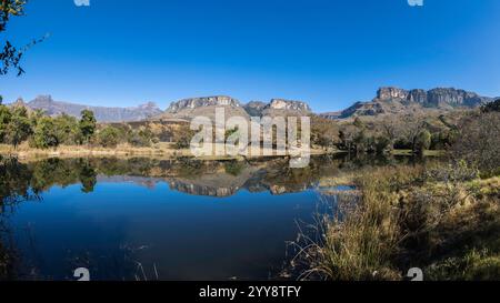 Ampitheater Mountian, nördlicher Drakensberg reflektiert in einem Teich im Royal Natal National Park, malerische Landschaft mit blauem Himmel Stockfoto