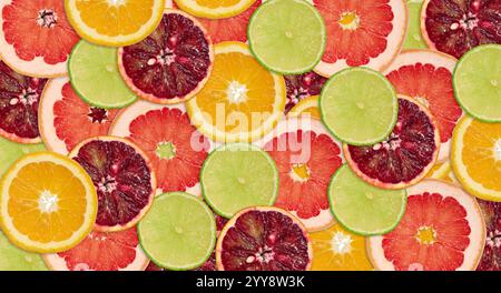 Runde Scheiben von Orange, Grapefruit, Limette und Blutorange, Vollbild Stockfoto
