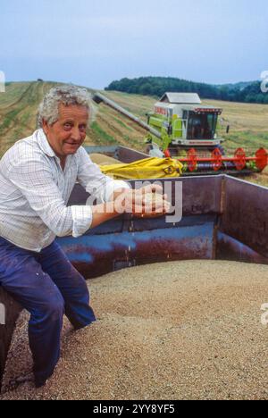 Ungarn, mechanische Getreideernte mit einem Mähdrescher. Stockfoto