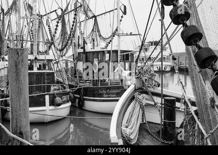 DEU, Deutschland, Niedersachsen, Krummhörn, Greetsiel, 12.12.2024: Krabbenkutter im Hafen von Greetsiel in der Gemeinde Krummhörn im Landkreis Aurich in Ostfriesland in der Vorweihnachtszeit *** DEU, Deutschland, Niedersachsen, Krummhörn, Greetsiel, 12 12 2024 Krabbenschneider im Hafen von Greetsiel in der Gemeinde Krummhörn im Landkreis Aurich in Ostfriesland in der Vorweihnachtszeit Stockfoto