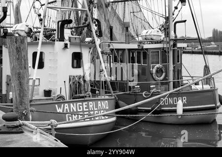 DEU, Deutschland, Niedersachsen, Krummhörn, Greetsiel, 12.12.2024: zwei Krabbenkutter im Hafen von Greetsiel in der Gemeinde Krummhörn im Landkreis Aurich in Ostfriesland in der Vorweihnachtszeit *** DEU, Deutschland, Niedersachsen, Krummhörn, Greetsiel, 12 12 2024 zwei Garnelenboote im Hafen von Greetsiel in der Gemeinde Krummhörn im Landkreis Aurich in Ostfriesland in der Vorweihnachtszeit Stockfoto