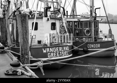 DEU, Deutschland, Niedersachsen, Krummhörn, Greetsiel, 12.12.2024: zwei Krabbenkutter im Hafen von Greetsiel in der Gemeinde Krummhörn im Landkreis Aurich in Ostfriesland in der Vorweihnachtszeit *** DEU, Deutschland, Niedersachsen, Krummhörn, Greetsiel, 12 12 2024 zwei Garnelenboote im Hafen von Greetsiel in der Gemeinde Krummhörn im Landkreis Aurich in Ostfriesland in der Vorweihnachtszeit Stockfoto