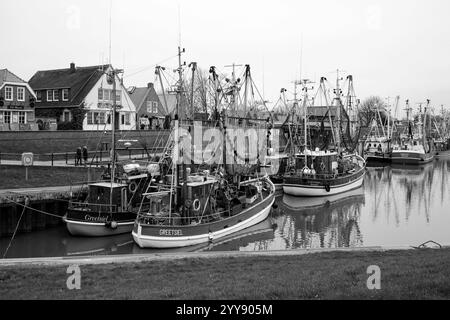 DEU, Deutschland, Niedersachsen, Krummhörn, Greetsiel, 12.12.2024: Krabbenkutter im Hafen von Greetsiel in der Gemeinde Krummhörn im Landkreis Aurich in Ostfriesland in der Vorweihnachtszeit *** DEU, Deutschland, Niedersachsen, Krummhörn, Greetsiel, 12 12 2024 Krabbenschneider im Hafen von Greetsiel in der Gemeinde Krummhörn im Landkreis Aurich in Ostfriesland in der Vorweihnachtszeit Stockfoto