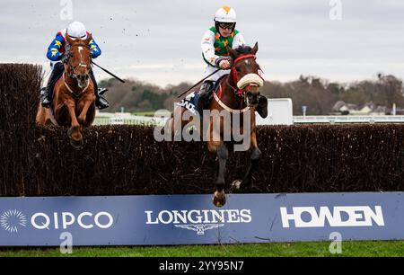 Ascot, Berkshire, Freitag, den 20. Dezember 2024; hier kommen Georgie und Jockey Lee Edwards gewinnen die Limited Handicap Chase der Howden Novices für Trainer Patrick Neville und Besitzer des Hold My Beer Syndicate. Credit JTW equine Images / Alamy Live News Stockfoto