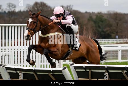 Ascot, Berkshire, Freitag, den 20. Dezember 2024; König William Rufus und Jockey Freddie Gordon gewinnen die Racetech Handicap Hürde für Trainer Chris Gordon und Besitzerin Mrs B. Ansell. Credit JTW equine Images / Alamy Live News. Stockfoto