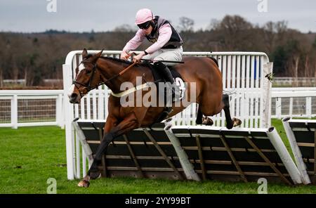 Ascot, Berkshire, Freitag, den 20. Dezember 2024; König William Rufus und Jockey Freddie Gordon gewinnen die Racetech Handicap Hürde für Trainer Chris Gordon und Besitzerin Mrs B. Ansell. Credit JTW equine Images / Alamy Live News. Stockfoto