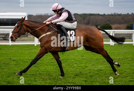 Ascot, Berkshire, Freitag, den 20. Dezember 2024; König William Rufus und Jockey Freddie Gordon gewinnen die Racetech Handicap Hürde für Trainer Chris Gordon und Besitzerin Mrs B. Ansell. Credit JTW equine Images / Alamy Live News. Stockfoto