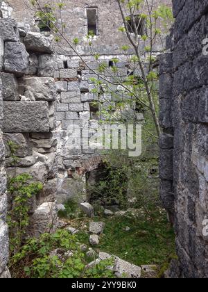 Ruinen einer Verteidigungsmauer des 9. Jahrhunderts Festung des österreichisch-ungarischen Reiches oder Festung unter Grkovac, Montenegro, Balkan Stockfoto