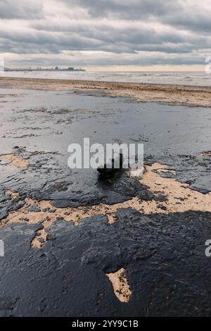 Heizöl in der Seeküste nach einem Tankerunglück. Der Strand ist mit Öl verschmutzt Stockfoto