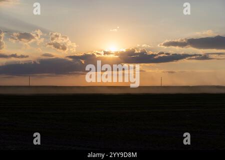 Feld mit grünem Gras und anderer Vegetation bei Sonnenuntergang, ein wunderschöner Nebel in der Entfernung des Feldes während Sonnenuntergang mit einem orangen Himmel Stockfoto