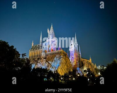 Nächtlicher Blick auf das von Bäumen eingerahmte Hogwarts Castle in The Wizarding World of Harry Potter im Universal Orlando Resort am 8. Februar 2024 in Orlando, Flori Stockfoto