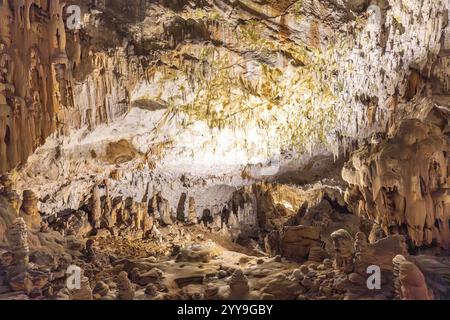 Atemberaubende Aussicht auf beleuchtete Stalaktiten und Stalagmitenformationen in der Höhle von postojna, einer berühmten Touristenattraktion in slowenien Stockfoto