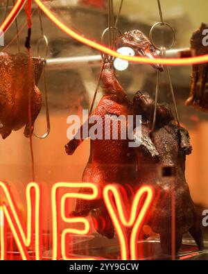 Eine ganze gebratene Ente hängt in einem Schaufenster in einem chinesischen Grillrestaurant, beleuchtet von warmen Neonlichtern, die ihre knusprige Farbe zeigen Stockfoto