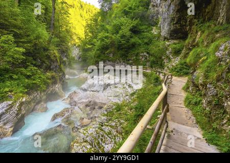 Malerischer Holzsteg, der sich durch die atemberaubende vintgar-Schlucht in der Nähe von Bled, slowenien, schlängelt und einen atemberaubenden Blick auf den Fluss radovna bietet Stockfoto