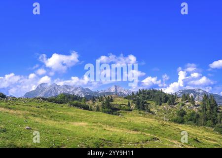 Grüne Wiesen treffen auf majestätische Berge unter einem leuchtend blauen Himmel und schaffen eine atemberaubende Sommerlandschaft im Herzen sloweniens Stockfoto