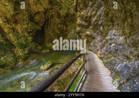 Malerischer Holzweg entlang des Flusses radovna in der Schlucht vintgar nahe Bled, einem atemberaubenden Naturwunder in slowenien Stockfoto