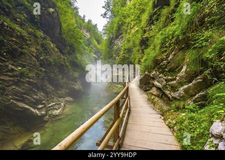 Malerische Aussicht auf einen hölzernen Fußweg, der sich entlang eines atemberaubenden smaragdgrünen Flusses in der vintgar-Schlucht in der Nähe von Bled, slowenien, schlängelt und die natürliche Schönheit der Cany zeigt Stockfoto