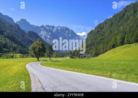 Eine gewundene Straße schlängelt sich durch das malerische Tal der Logarska dolina, umgeben von üppigen Wiesen und majestätischen Bergen in slowenien Stockfoto