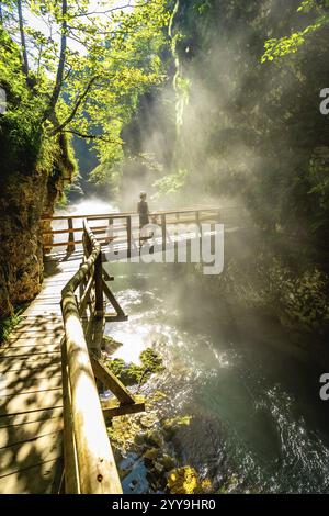 Sonnenstrahlen beleuchten Nebel, der aus dem Fluss radovna in der vintgar-Schlucht in der Nähe von Bled aufsteigt, und Touristen gehen auf einer hölzernen Fußgängerbrücke Stockfoto