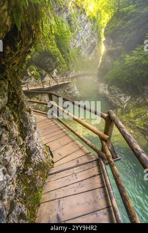 Malerischer Holzweg, der sich durch die vintgar-Schlucht schlängelt, mit dem Fluss radovna in der Nähe von Bled, slowenien Stockfoto