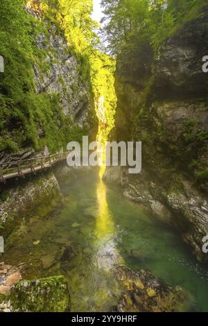 Sonnenlicht beleuchtet das klare Wasser des Flusses radovna, der durch die vintgar-Schlucht in der Nähe von Bled in slowenien fließt, mit einem hölzernen Fußweg entlang des Canyons Stockfoto