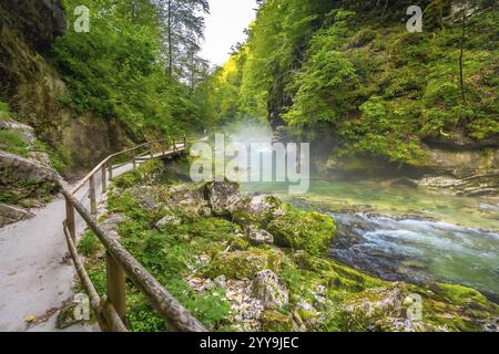 Atemberaubende Landschaft der vintgar-Schlucht mit hölzernem Fußweg entlang des Flusses radovna in der Nähe von Bled, slowenien, im Sommer Stockfoto