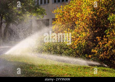 Ein Sprinkler bewässert einen Baum in einem Hof. Das Wasser sprüht aus dem Sprinkler auf den Baum Stockfoto