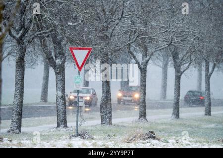 Schneetreiben auf der Landstraße, Wintereinbruch, Sauerlach, 20. Dezember 2024 Deutschland, Sauerlach bei München, 20. Dezember. Dezember 2024, Schneetreiben auf der Landstraße, Schnee liegt auf den Alleebäumen, Freitagnachmittag um 15 Uhr, Wintereinbruch, Temperatur ca. 1 Grad Celsius, kalt, Kälte, Verkehr, kurz vor Weihnachten, Winter, Winterwetter, Bayern Stockfoto