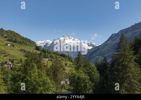 Schneebedeckte Bergamo-alpen. Blick von Gromo Town. Stockfoto