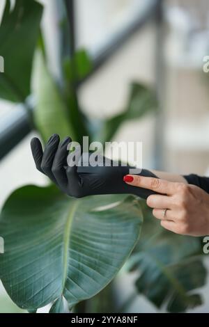 Hände des Küchenchefs. Küchenhygiene. Frau mit schwarzen Latexhandschuhen isoliert auf hellem Kopierraum Hintergrund. Professionelle Küche. Master-Klasse. Stockfoto