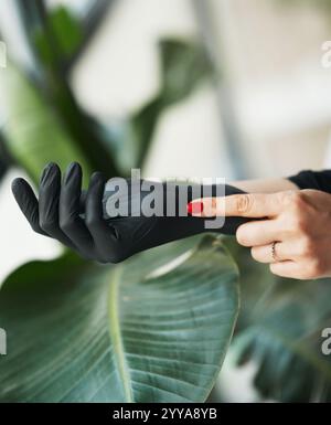 Hände des Küchenchefs. Küchenhygiene. Frau mit schwarzen Latexhandschuhen isoliert auf hellem Kopierraum Hintergrund. Professionelle Küche. Master-Klasse. Stockfoto