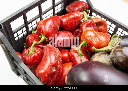 Organische Paprika und Auberginen in einem Kunststoffbehälter isoliert auf weißem Hintergrund Stockfoto