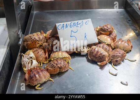 Auswahl an frischen Meeresfrüchten, täglichen Fängen von Cangrejo-roten Krebsen auf dem Fischmarkt in Jerez de la Frontera, Andalusien, Spanien Stockfoto