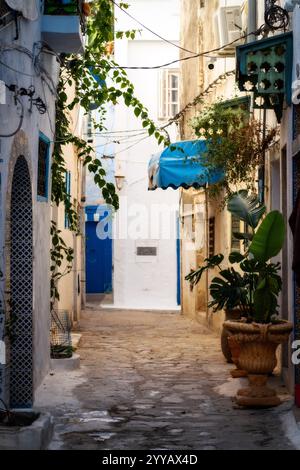 Sidi Bou Sagte In Tunis, Tunesien Stockfoto