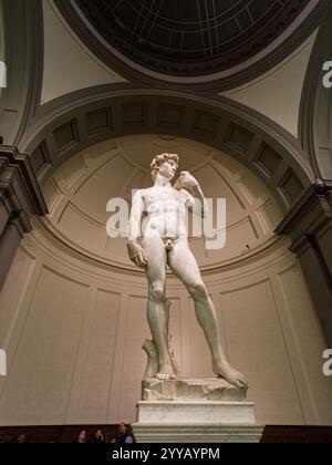 Ein vertikales Foto von Michelangelos David-Statue in der Galleria dell'Accademia in Florenz, aufgenommen am 13. Dezember 2015. Besucher bewundern den Kultturm Stockfoto