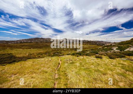 Blick auf die Landschaft entlang des Porcupine Walking Track an einem Sommertag im Kosciuszko National Park, Snowy Mountains, New South Wales, Australien Stockfoto