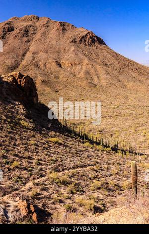 Eine Wüstenlandschaft mit einem Berg im Hintergrund. Der Berg ist mit Felsen bedeckt und die Wüste ist trocken und karg Stockfoto