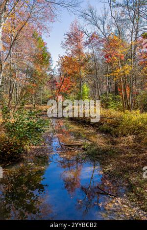 Eine wilde Landschaft eines Baches entlang des Indian Boundary Loop Trail mit Herbstbäumen in leuchtenden Rot-, Gelb- und Grüntönen, die sich im Wasser spiegeln. Stockfoto