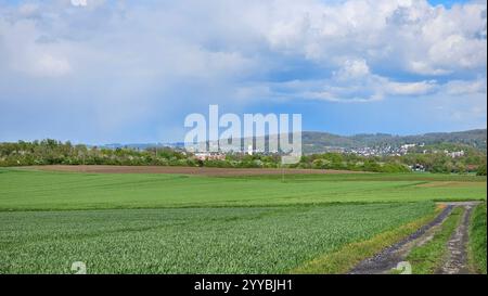 Ein hohes Grasfeld mit einer kleinen Stadt im Menden Sauerland Stockfoto