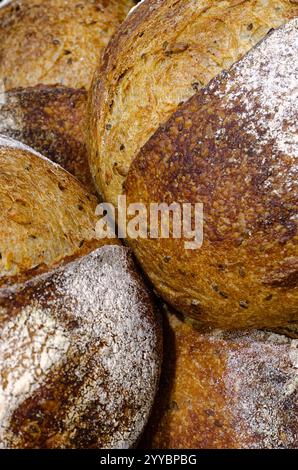 Gruppe von traditionellen runden Broten mit dunklem Roggenbrot mit Samen, Essenshintergrund Stockfoto