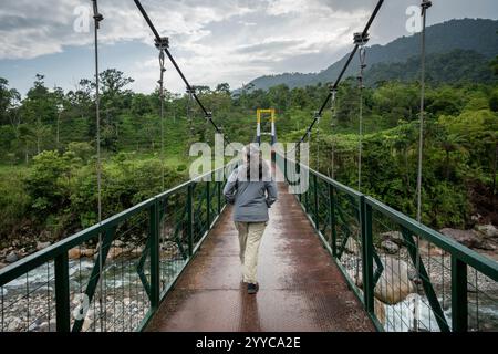 Cotundo, Provinz Napo, Amazonien, Ecuador Stockfoto