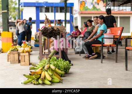 Lebensmittelmarkt, Cotundo, Provinz Napo, Amazonien, Ecuador Stockfoto