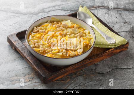 Asiatische reichhaltige Eierbrötchen-Suppe mit Hackfleisch, Kohl, Karotten, Zwiebeln und Gewürzen in einer Schüssel auf dem Tisch. Horizontal Stockfoto